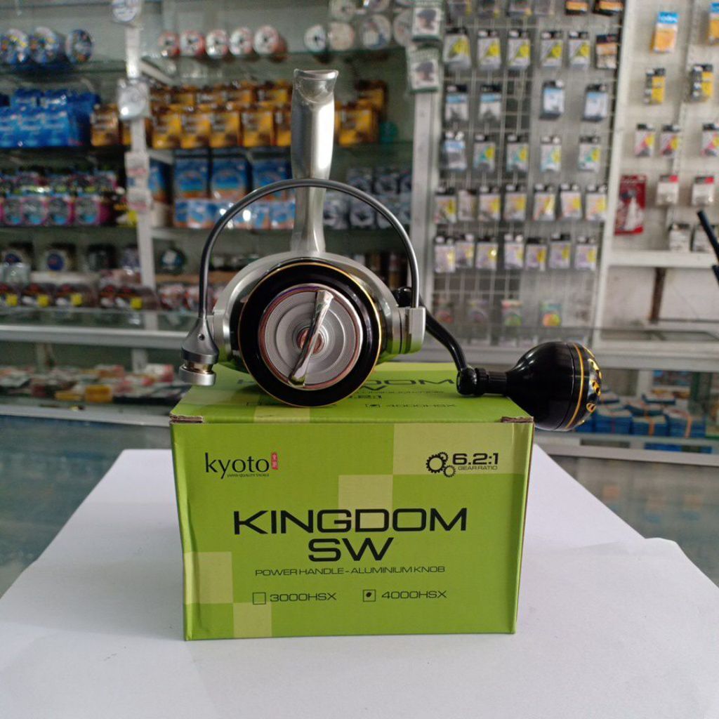 Reel KINGDOM SW 4000HSX