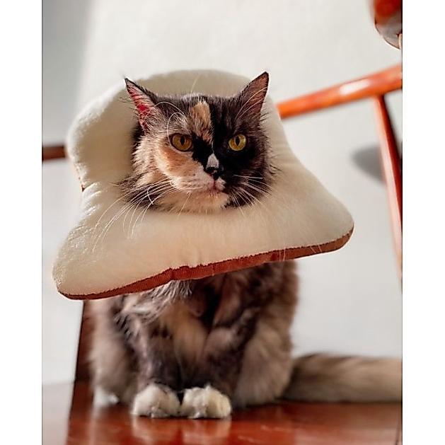 [ZAV] corong kalung leher anjing kucing roti boneka lucu