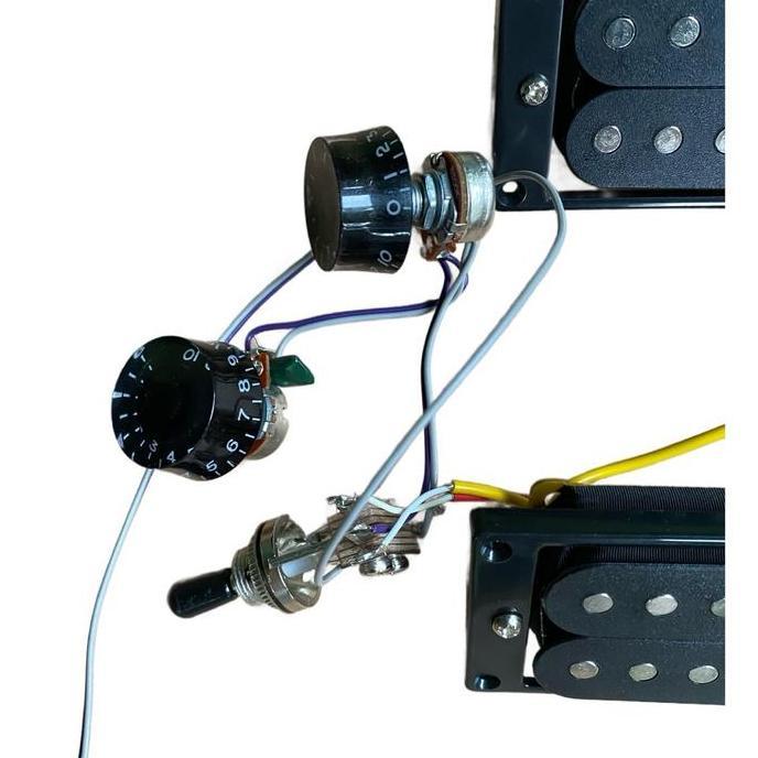 Set Wiring Lespaul / Prs Dengan Potensio Dan Knop Untuk Gitar ( Cort M200 )