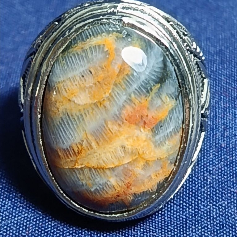Natural Agatized Coral, MULTI COLOR / Batu Teratai, LIPAN PANJANG