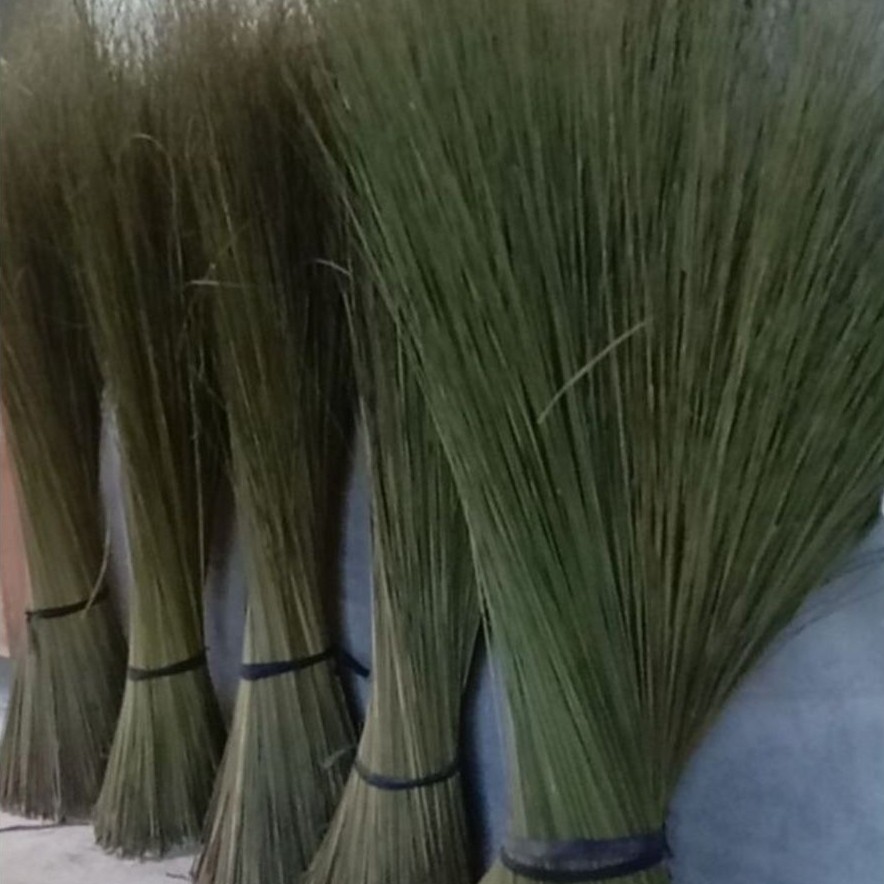 Lidi Kelapa Sawit