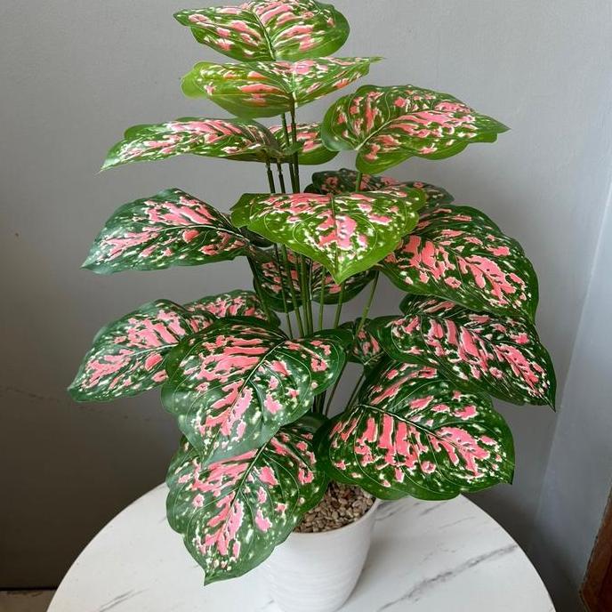 TANAMAN PLASTIK KELADI QIU PINK(sudah+pot) Bunga