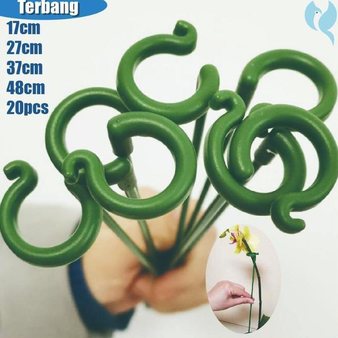 MALUKSHURE 20pcs Holder Tanaman Penyangga Batang Tanaman Penyangga Tanaman Hias Ajir Penyangga Tanam