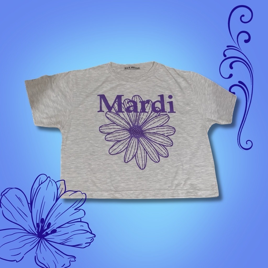 PRELOVED MARDI MERCREDI T-SHIRT (GRAY) (OFFICIAL)