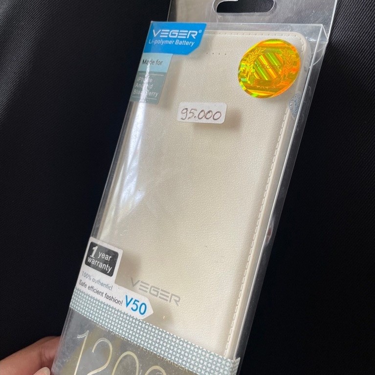 Power Bank Veger