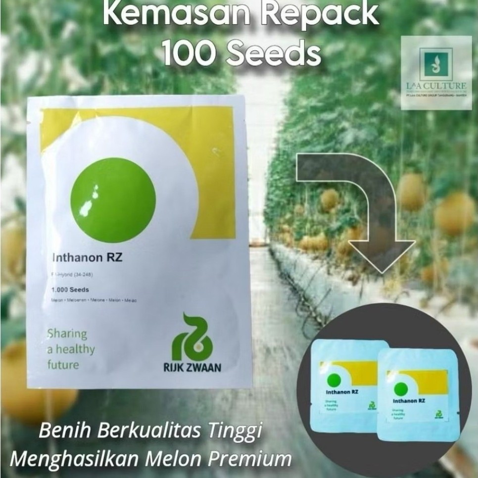 Benih Melon Inthanon Rz Repack - 10 Seed Inthanon original