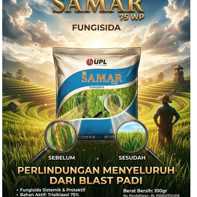 Samar 75WP Fungisida Sistemik Untuk Padi