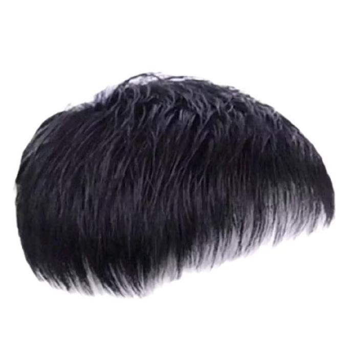 WIG PENUTUP BOTAK PRIA/TOUPEE HAIR PRIA/TUTUP BOTAK PRIA