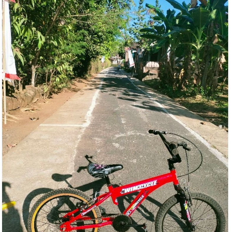 SEPEDA BMX WIMCYCLE 20 INCH