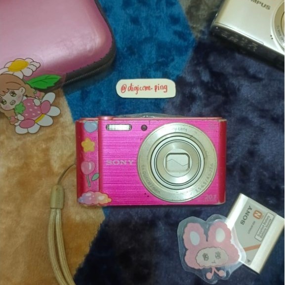 Sony Cyber-shot DSC W810 Pink Digicam