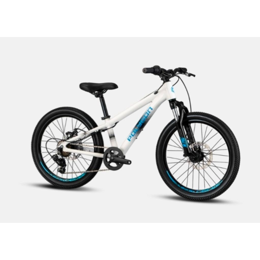 Sepeda MTB Polygon Cascade Kids 20 Inch