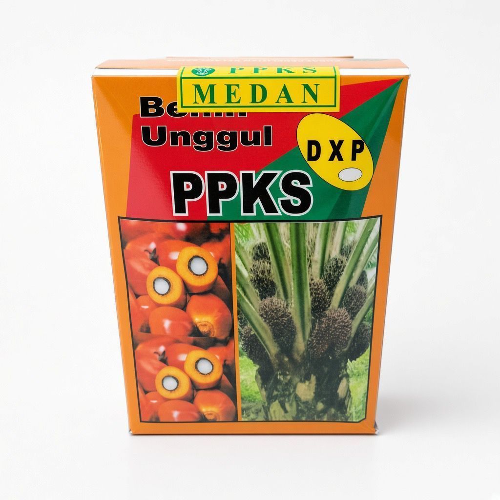 DXP PPKS Yangambi