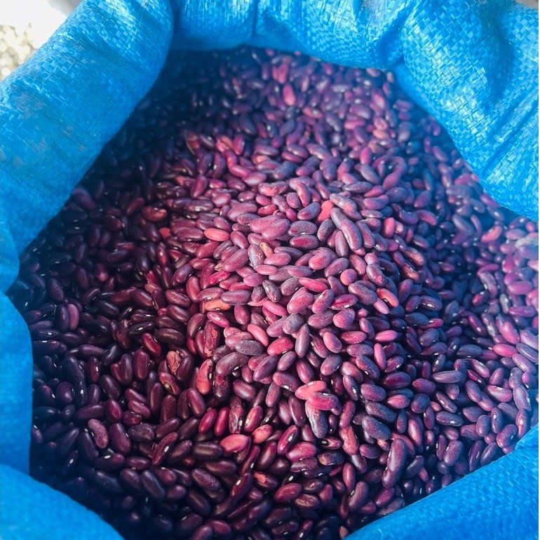 Kacang Merah 1kg - kacang merah Enrekang