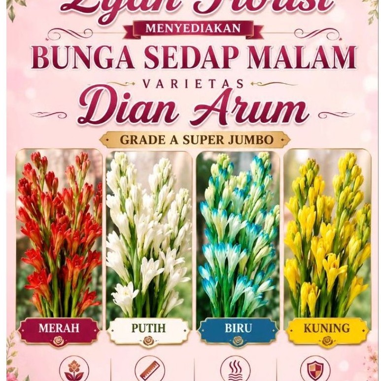 Bunga Sedap malam warna fresh 15 batang