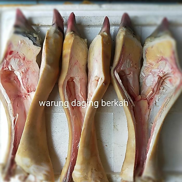 READY kaki sapi lokal utuh