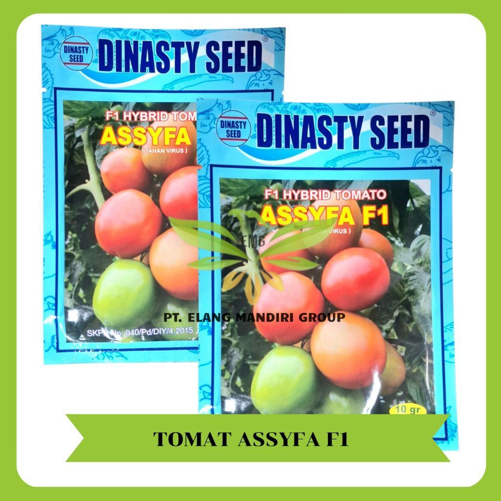 Assyfa F1 10gr Hybrid Tomato Dinasty Seed