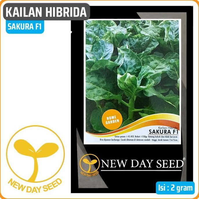 Promo Benih Kailan SAKURA F1, 2 gr | New Day Seed Diskon