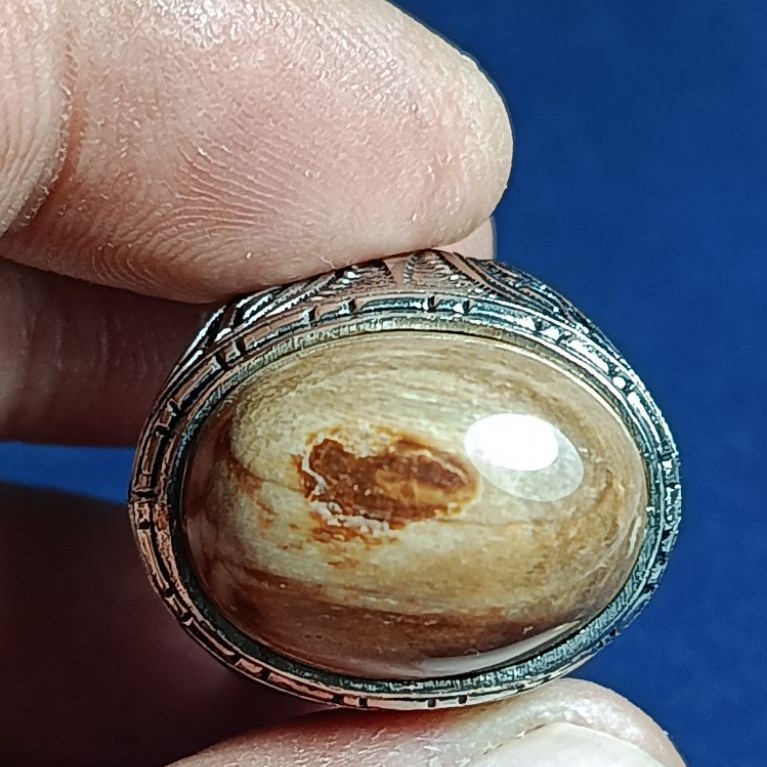 Natural Kelor Petrified Wood, SMALL FISH / Batu Fosil Kayu Kelor, IKAN KECIL