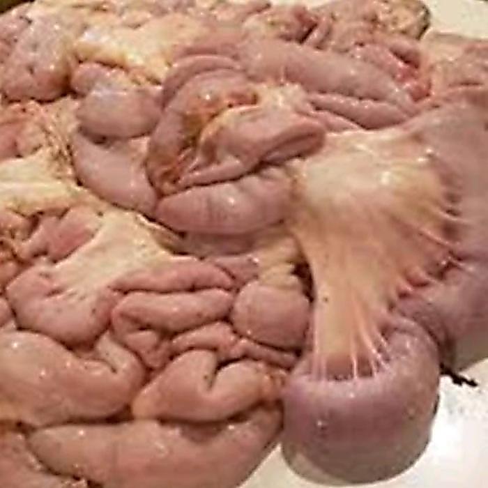Usus Sapi Tamusu 500 Gram