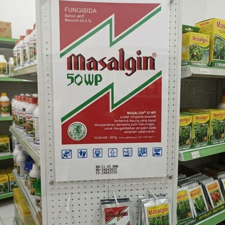 Fungisida Sistemik Masalgin 50 WP Mengendalikan Busuk Buah Cabai Merah Tepung