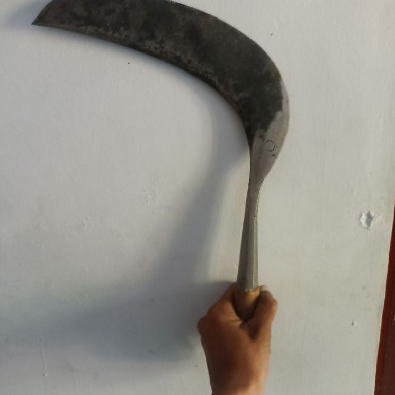 Sabit Pengaritan Rumput