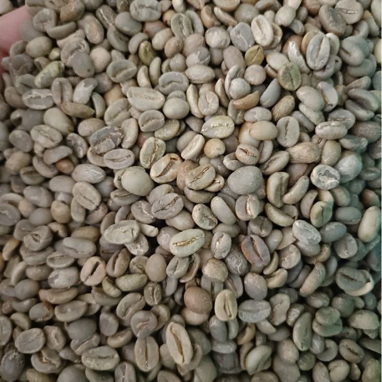 Green Bean Arabika Ijen Natural G1