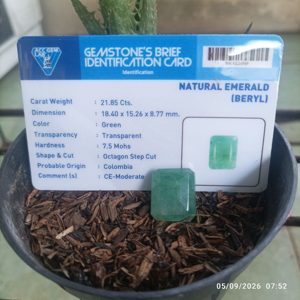 Loostone Natural Emerald Beryl + Memo.