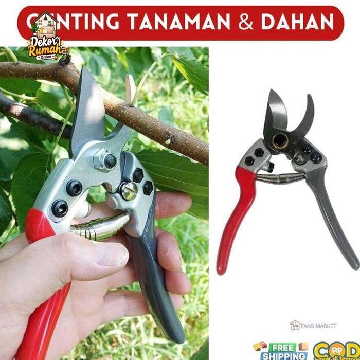 Gunting pangkas Tanaman Dan Dahan Ranting High Carbon Steel Gunting Ranting