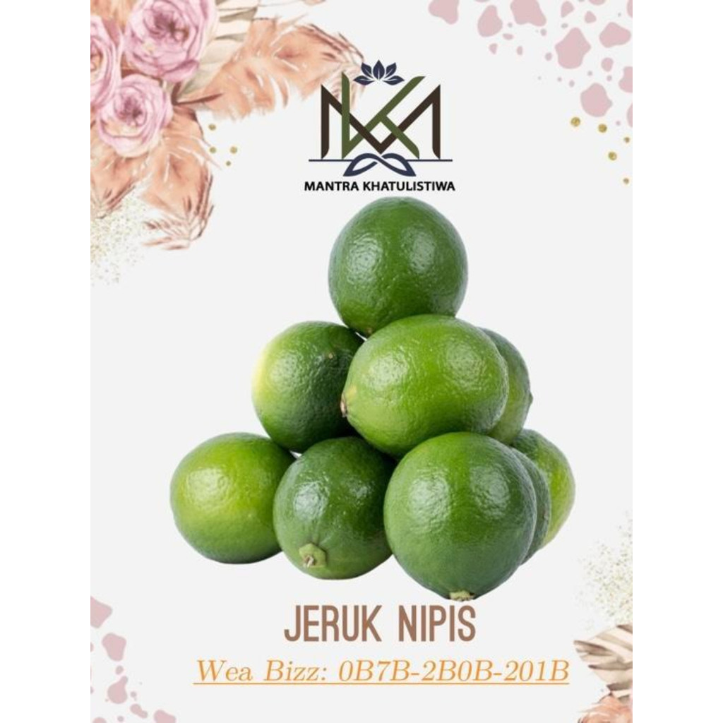 JERUK NIPIS SEGAR JERUK NIPIS HIJAU FRESH