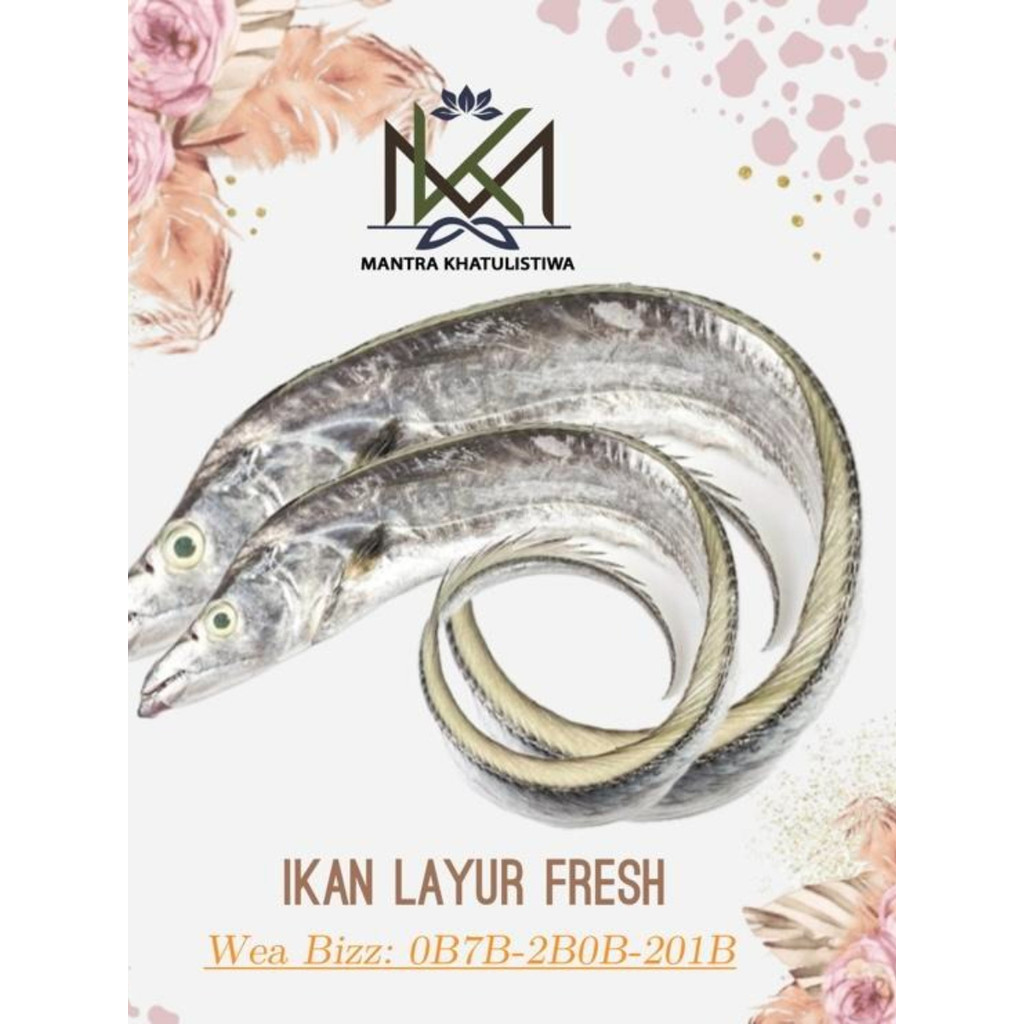 IKAN LAYUR FRESH IKAN SEGAR IKAN LAUT IKAN LAYUR SEGAR