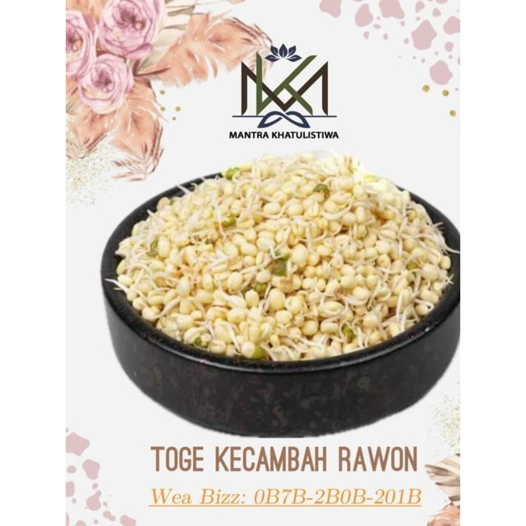 TOGE KECAMBAH TOGE RAWON TAUGE KECAMBAH RAWON SEGAR FRESH Bahan