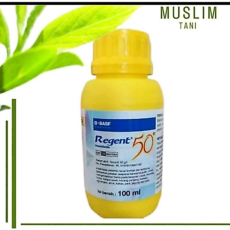 REGENT 100ml