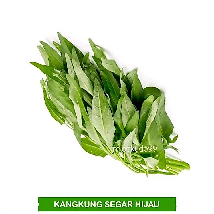 SAYUR KANGKUNG LOMBOK ORGANIK SEGAR KANGKUNG POTONG FRESH DAUN LEBAR