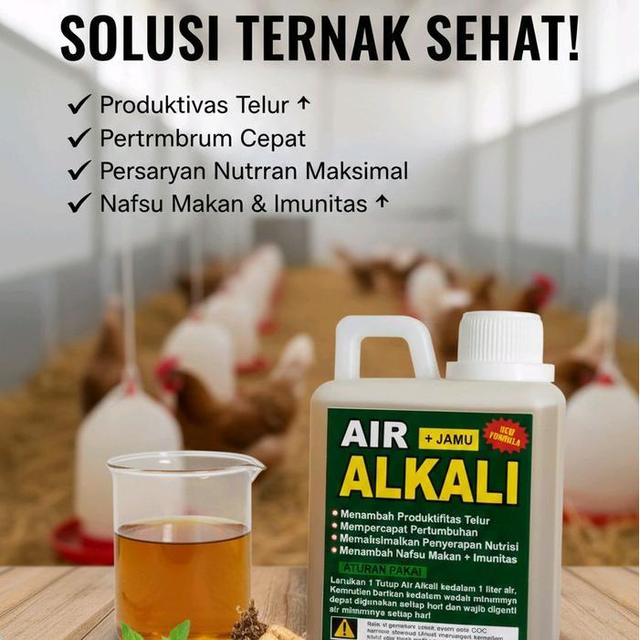 PAKET 8 AIR ALKALI JAMU TERNAK SEHAT 500 GRAM