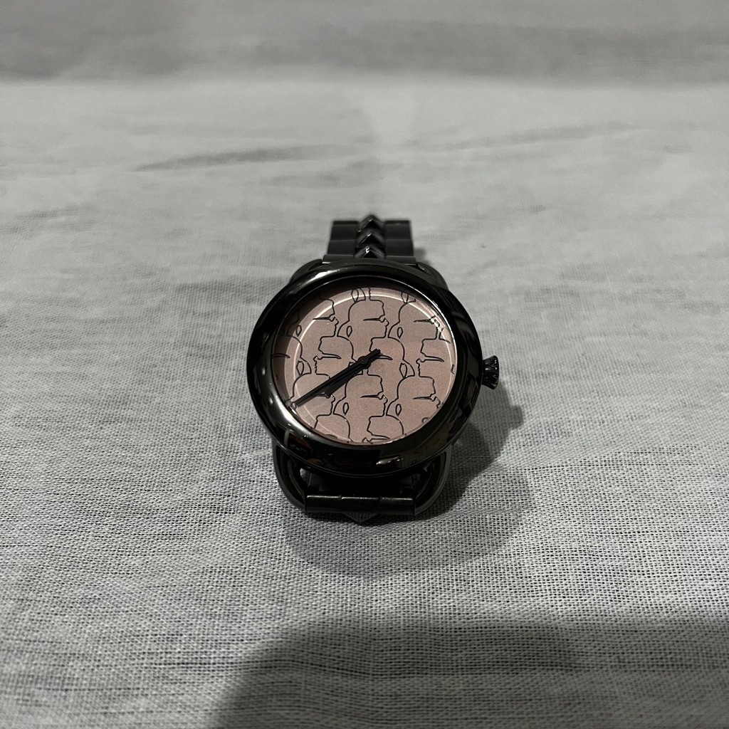 Preloved Karl Lagerfeld Watch