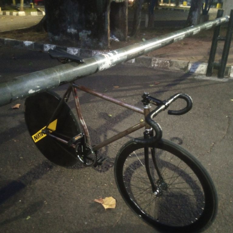 FULBIKE FIXIE DOLTRAP