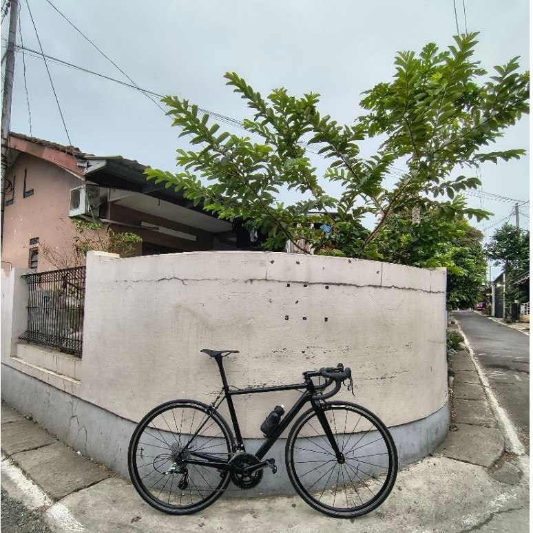 frameset roadbike carbon seraph fm066