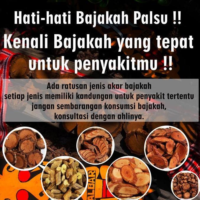 Akar Bajakah Ji Xue Teng 1 Kg Asli Kalimantan