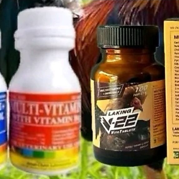 V--22/CALCIUM LACTATE/MULTIVITAMIN-AYAM ADUAN