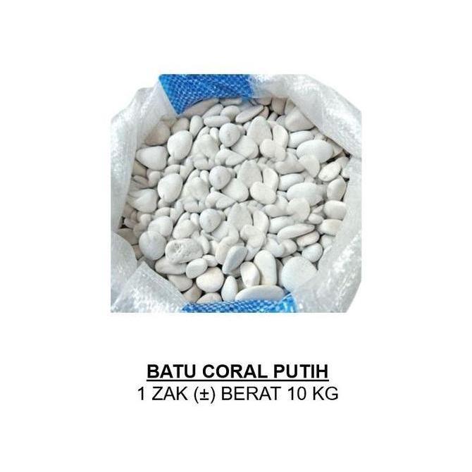 BATU KORAL PUTIH KECIL HIASAN TAMAN BATU MAKAM VIA INSTANT - BATU KORAL KARUNG