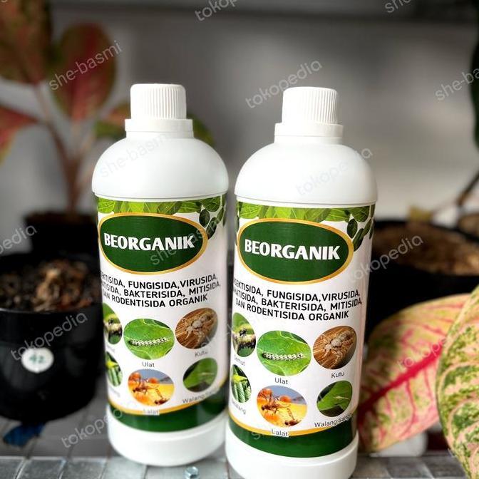 Beorganik Pembasmi Hama Tanaman, Organik, Pestisida, Hama Semut, Kutu Putih, Jamur, Ulat