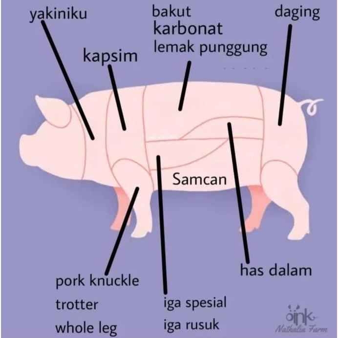 Samcam Babi Organik - Pork Belly - Daging Babi Organik
