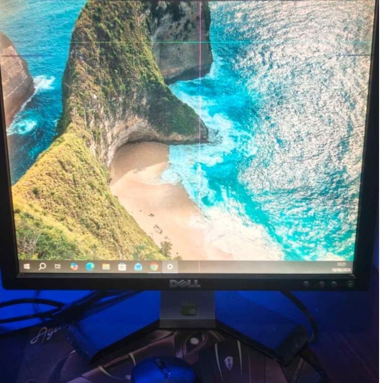 monitor dell
