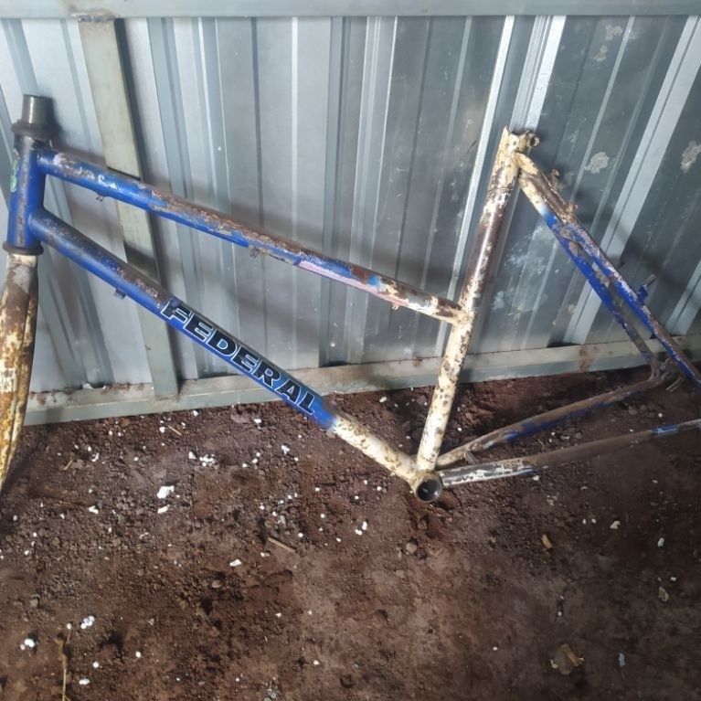 frame federal wild cat lady 26