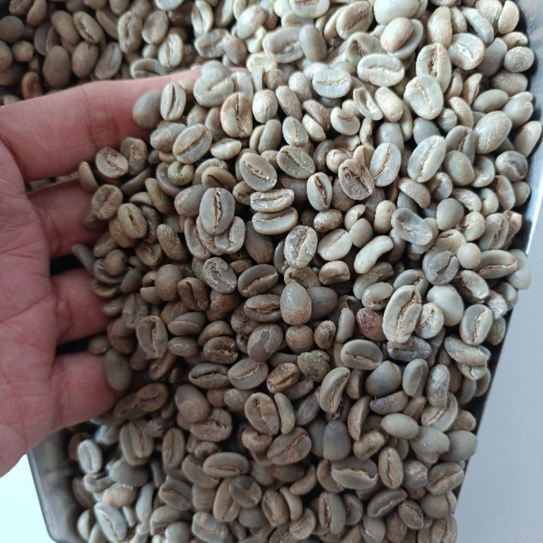 Green Bean Arabika Ijen Full wash G1