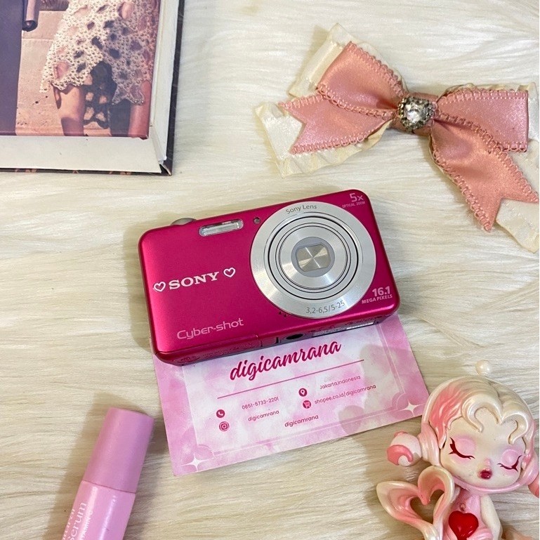 sony dsc w710