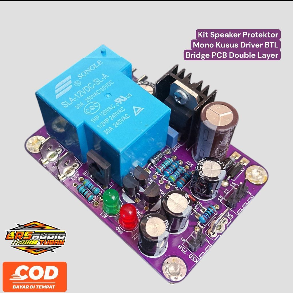 Kit Speaker Protektor Mono Kusus Driver BTL Bridge PCB Double Layer