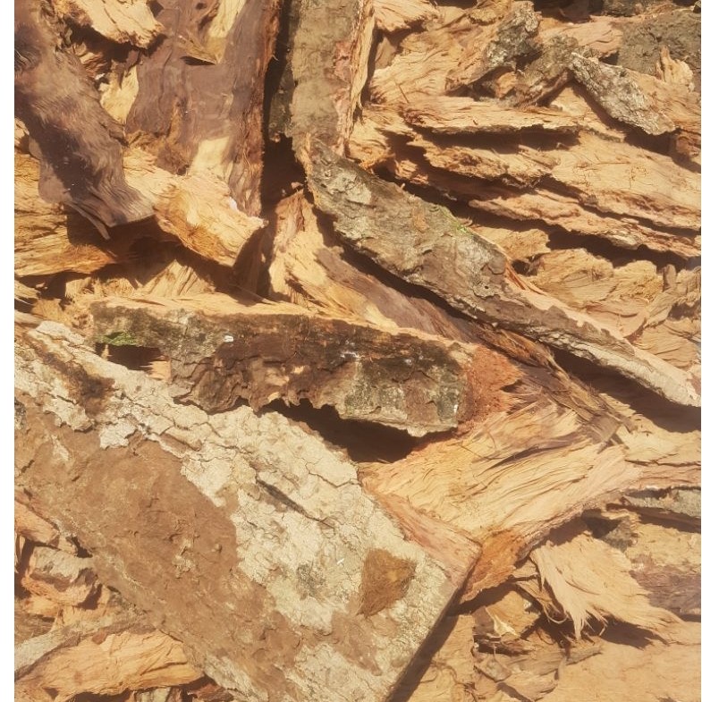 kulit kayu juwet/duwet,  obat herbal 1kg