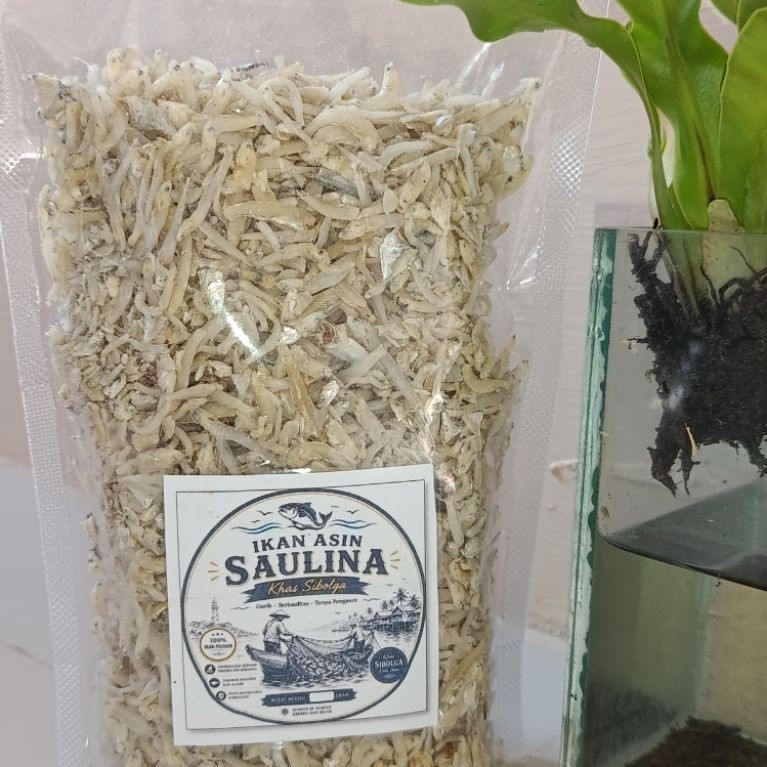 Ikan Teri Nasi Asin Sedang Asli Sibolga | Teri Kering Pilihan Tanpa Pengawet