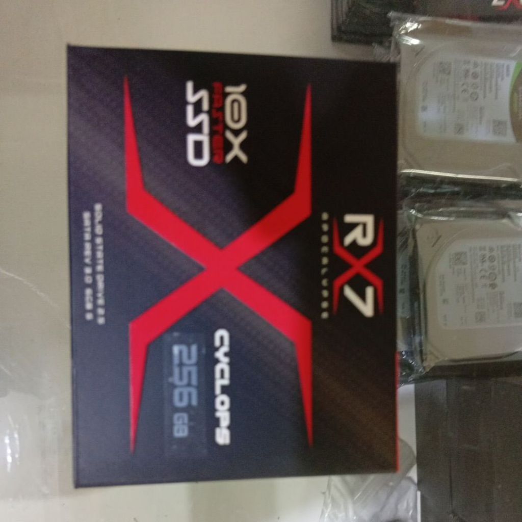 ssd rx 7 256 gb sata
